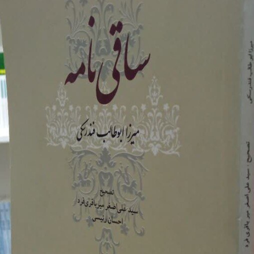 سید ابوطالب میرفندرسکی